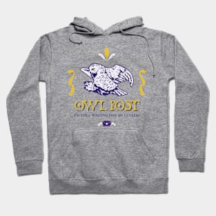 Owl Owls Owl Lover Hoodie